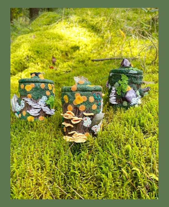 Mossy Log Medium Stash Jars