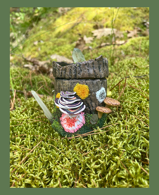 Mossy Log Small Stash Jars