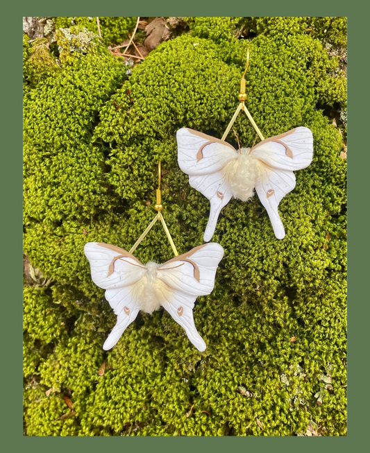 Albino Luna Moth Earrings